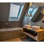 On Texel Near Krimbos Forest De Cocksdorp (Texel)