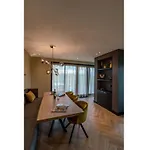 On Texel Near Krimbos Forest De Cocksdorp (Texel)